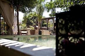 Spirit Of The Knights Boutique