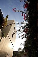 Spirit Of The Knights Boutique