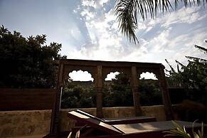 Spirit Of The Knights Boutique