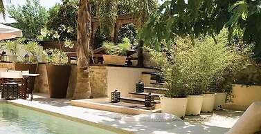 Spirit Of The Knights Boutique