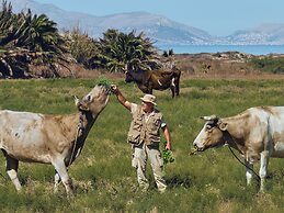 Grecotel Casa Paradiso, Lifestyle All In Resort