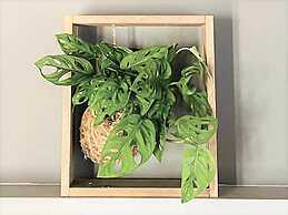 Corso Suite 107 Rooms Wellness & Spa