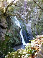 Quinta da Palmeira - Country House Retreat & Spa