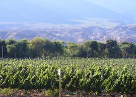 La Casa De La Bodega - Wine Boutique Hotel