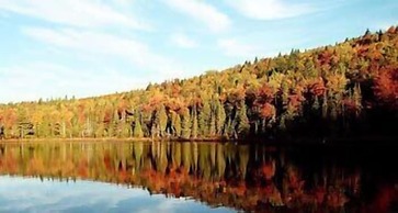 Pourvoirie du Cap au Leste