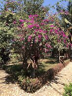 Resort Primo Bom Terra Verde