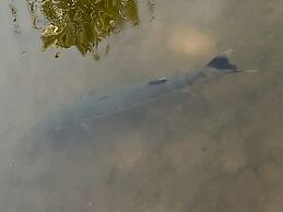 Resort Primo Bom Terra Verde