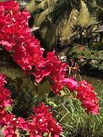 Resort Primo Bom Terra Verde