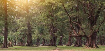 L'esprit de Naiyang Beach Resort