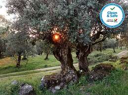 Convento da Provenca