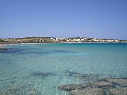 Free Sun Rooms and Apartments