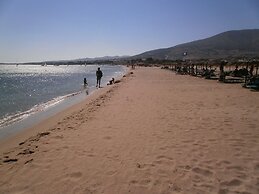 Free Sun Rooms and Apartments