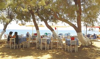 Free Sun Rooms and Apartments