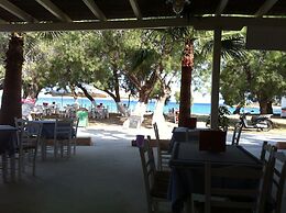 Free Sun Rooms and Apartments