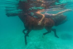 Ratua Private Island Resort