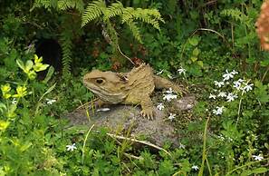 Huntington Stables Retreat Accommodation