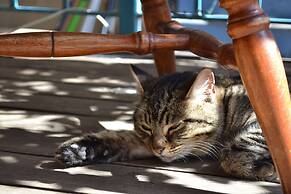 1849 Backpackers Hotel