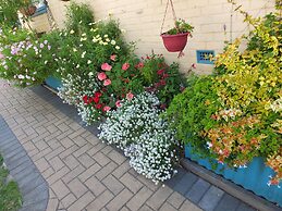 1849 Backpackers Hotel