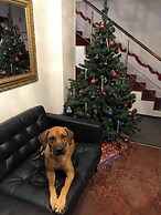 HOME APART-HOTEL (Vivulskis)