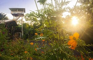 Finca Luna Nueva Lodge