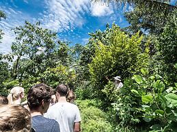 Finca Luna Nueva Lodge