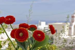 Sweet Pop - Adults Only