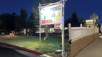Jumping Frog Motel