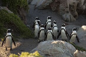 185 on Beach Boutique Suites and Apartments