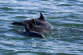 185 on Beach Boutique Suites and Apartments