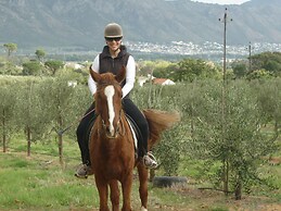 185 on Beach Boutique Suites and Apartments