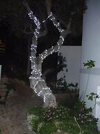 185 on Beach Boutique Suites and Apartments