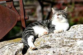 Az Agrituristica Bio Le Macchie Alte