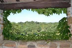 Az Agrituristica Bio Le Macchie Alte