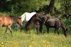 Az Agrituristica Bio Le Macchie Alte