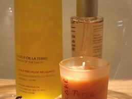 Novotel Spa Rennes Centre Gare