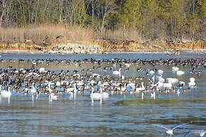 Black Walnut Point Inn