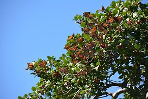 Black Walnut Point Inn