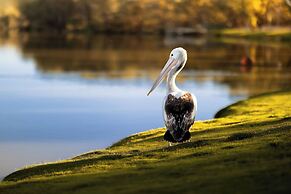 BIG4 Renmark Riverfront Holiday Park