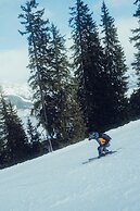 Forsthofalm
