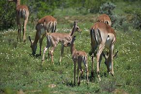 Barefoot Addo Elephant Lodge