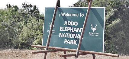 Barefoot Addo Elephant Lodge