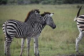 Barefoot Addo Elephant Lodge