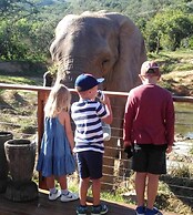Barefoot Addo Elephant Lodge