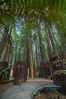 Silver Fern Rotorua Suites & Spa