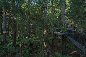 Silver Fern Rotorua Suites & Spa