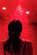 Edgar Hotel & Spa- Table Gastronomique