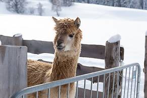 Aparthotel Winklwiese