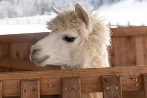 Aparthotel Winklwiese