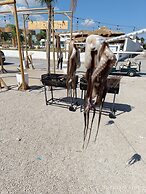 Alia Luxury Suites and Spa