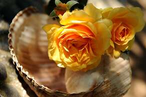 Stagones Luxury Villas